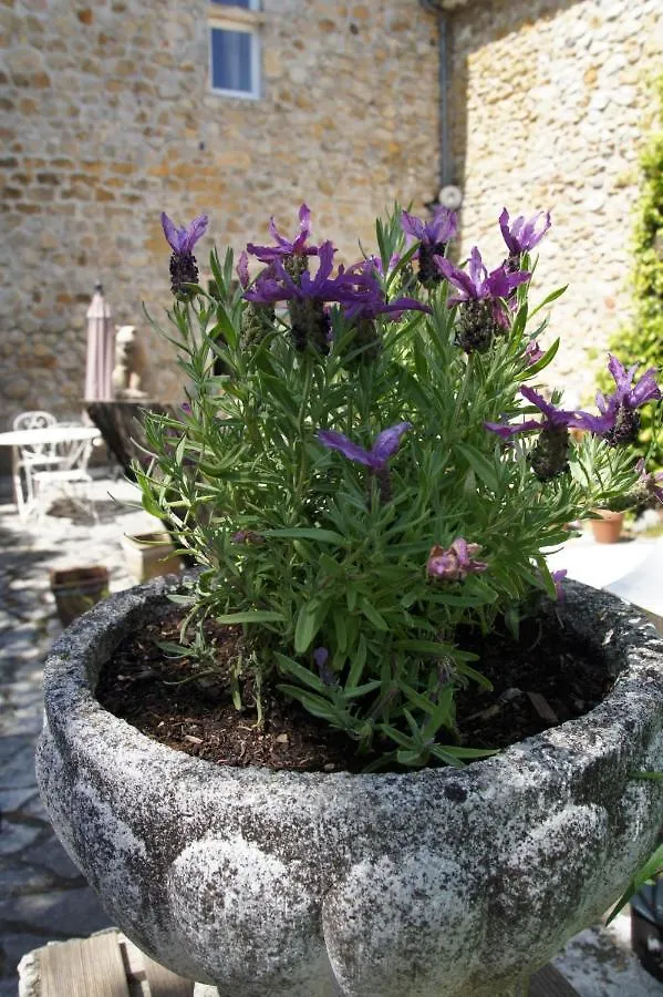 Maison Du Manoir Vallon-Pont-d'Arc 0*,  France