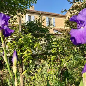 Le Petit Cochon Bed & Breakfast Valence-sur-Baise